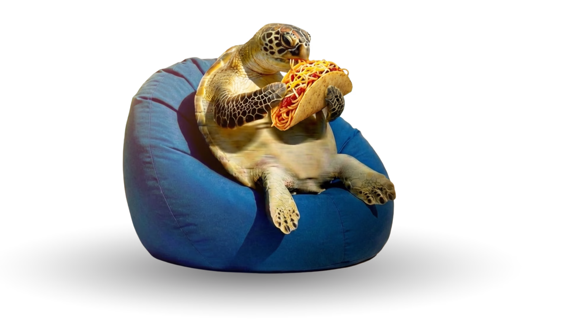 Sea turtle sitting on a blue beanbag chair eating a spaghetti taco