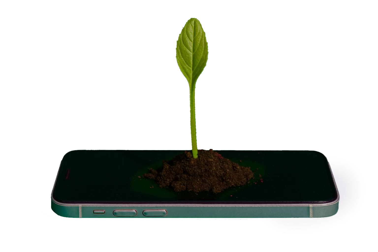 Small plant sprouting from soil on smartphone, green background