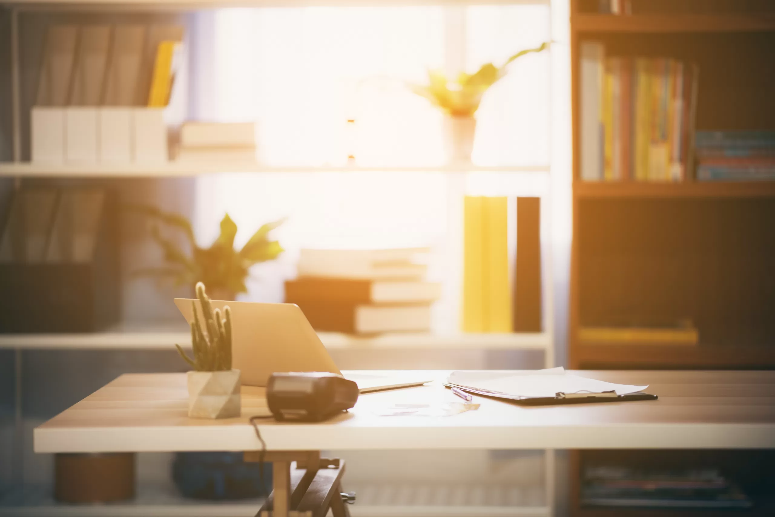Wooden desk with laptop, camera, cactus, clipboard, in front of sunlit shelves with books and plants